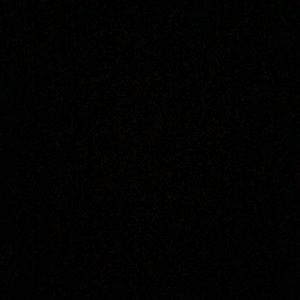 Meet your Posher, Betsy